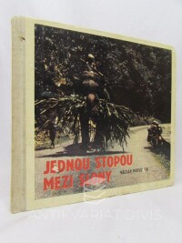 Potužník, Václav, Jednou stopou mezi slony, 1969